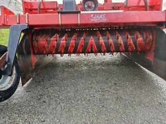 Fraise maraîchère Forigo D35 - 3