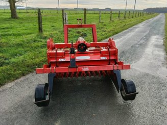 Fraise maraîchère Forigo D35 - 4