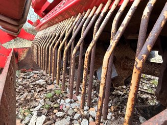 Fraise maraîchère Simon Cultigrille 125 - 5