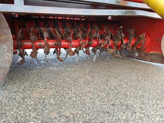 Fraise maraîchère Forigo D35 - 5