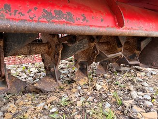 Fraise maraîchère Simon Cultigrille 125 - 1