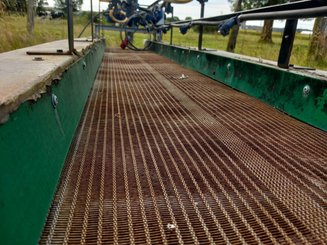 Bande transporteuse - pommes de terre NC EM - 5