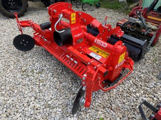 Fraise maraîchère Vigolo FKB 145 - 1
