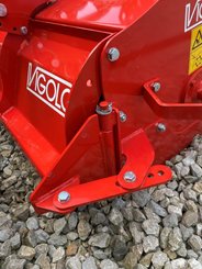 Fraise maraîchère Vigolo FKB 145 - 5