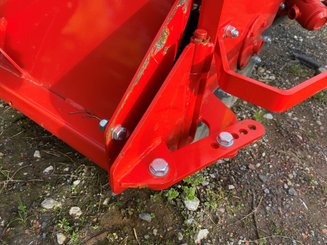 Fraise maraîchère Vigolo FKB 125 - 2