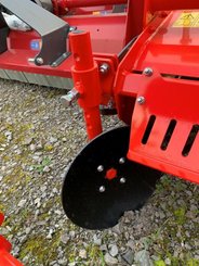 Fraise maraîchère Vigolo FKB 165 - 5