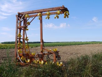 Matériel de maraîchage NC Convoyeur de récolte à coupelles R/H20 - 1