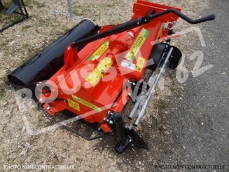 Fraise maraîchère Vigolo FKB 165 - 7
